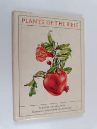 Plants of the bible