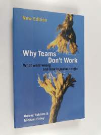 Why teams don&#039;t work : what went wrong and how to make it right