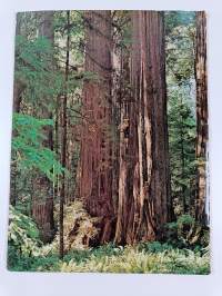 The Redwoods and California&#039;s North Coast