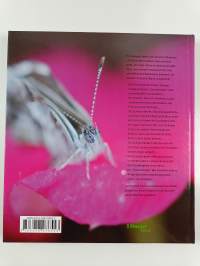 Planet der insekten