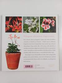 Ihanat pelargonit