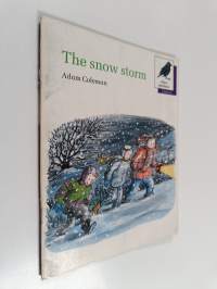 The Snow Storm -