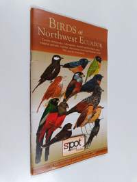 Birds of Northwest Ecuador