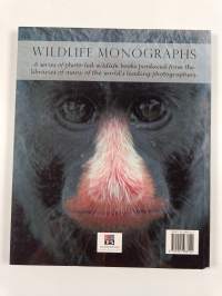 Monkeys of the Amazon