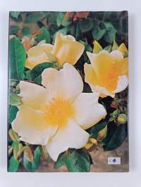 Xenia field&#039;s book of roses