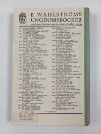 tvillingdetektiverna : tavelmysteriet