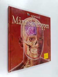 Människokroppen