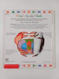 What&#039;s Inside? : Shells