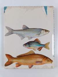 Süsswasserfische