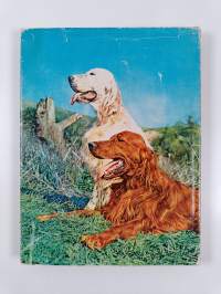 Dogs