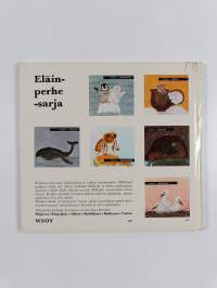 Eläinperhe: Haikarat