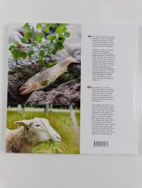 Keski-Suomi a la carte