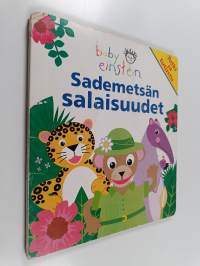 Sademetsän salaisuudet