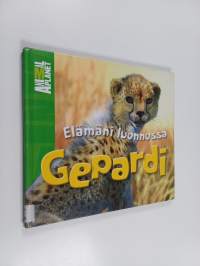 Gepardi