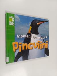 Pingviini
