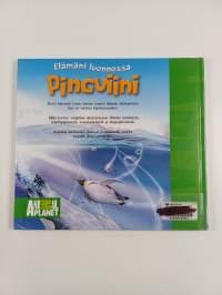 Pingviini