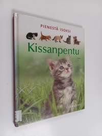 Pienestä isoksi : kissanpentu