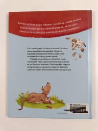 Santeri ja maailman suurin ilmapallo