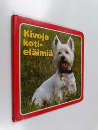 Kivoja kotieläimiä