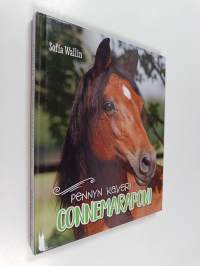 Pennyn kaveri : connemaraponi