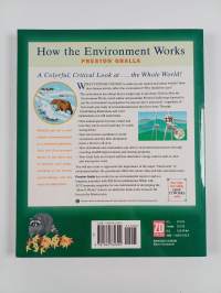 How the environment works