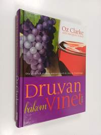 Druvan bakom vinet : din guide till världens druvsorter och de viner de frambringar