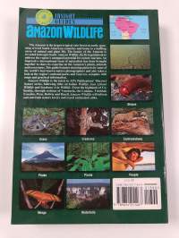 Amazon wildlife