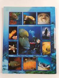 Wonders of the Red Sea