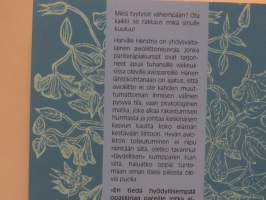 Kaikki se rakkaus, mikä sinulle kuuluu