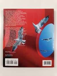 An Advanced Guide to Digital Photography