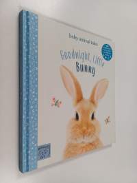 Goodnight, Little Bunny
