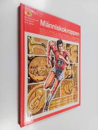 Människokroppen