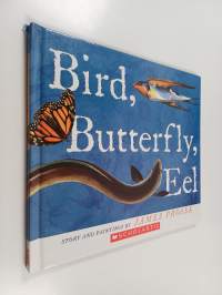 Bird, Butterfly, Eel