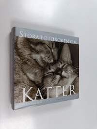 Stora fotoboken om katter