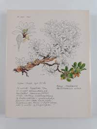 Notater fra naturen