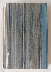 Sotatoimet Pietarin valloittamiseksi 1918-19