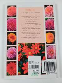 Dahlias