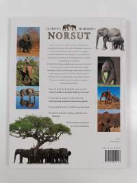 Norsut