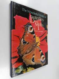 The wonderful world of butterflies and moths