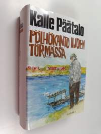 Pölhökanto Iijoen törmässä
