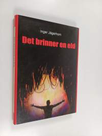 Det brinner en eld : en berättelse med verklighetsbakgrund