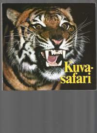 Kuvasafari villieläimistä  45 sivua