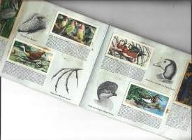 Brooke Bond Tea Picture Cards Albumi Tropical Birds Vintage  50 keräilykuvaa albumi täyteen kerätty keräilyalbumi