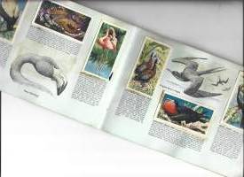 Brooke Bond Tea Picture Cards Albumi Tropical Birds Vintage  50 keräilykuvaa albumi täyteen kerätty keräilyalbumi