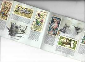 Brooke Bond Tea Picture Cards Albumi Tropical Birds Vintage  50 keräilykuvaa albumi täyteen kerätty keräilyalbumi