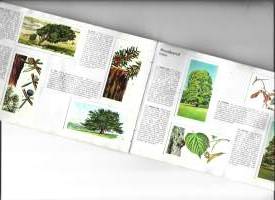 Trees in Britain Original Special Album 1966   39  kuvaa 1 puuttuu