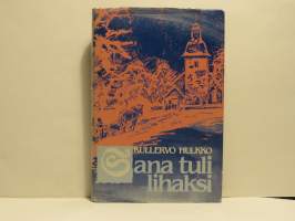 Sana tuli lihaksi - Joulunajan saarnatekstien tutkiskelua