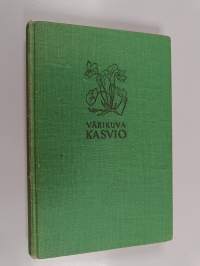 Värikuvakasvio