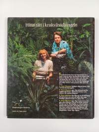 Fint i fönstret