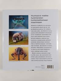 Lähikuvassa otus - Otus